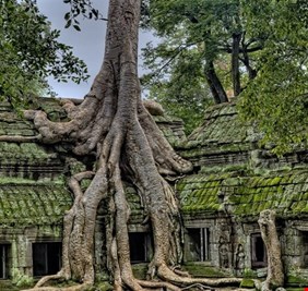 اكتشاف سر هلاك مجتمع قديم سكن 