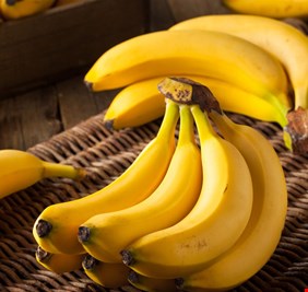 خبراء يحذرون من انقراض أكثر أنواع الموز شهرة في العالم!