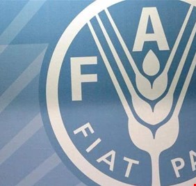 منظمة الأغذية: أسعار الغذاء العالمية تنخفض بعد 5 أشهر من الارتفاع