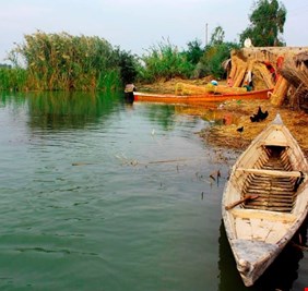 بعد 3 اعوام على ادراجها.. تقصير جهة حكومية يدفع الاهوار لحافة الخروج