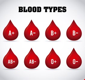 العلماء يكشفون 