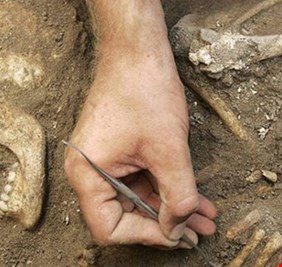 بالصور.. اكتشاف 