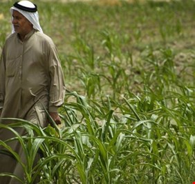 لاول مرة منذ 16 سنة.. توقف الهجرة من الريف الى المدينة في ديالى