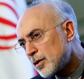 صالحي: سنشغل قسما من مفاعل أراك قريبا