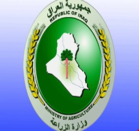 الزراعة تفتح استيراد الطماطم بكميات مقننة ولمدة محدودة