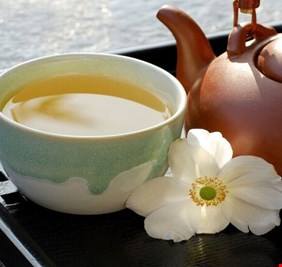 الشاي الأخضر يحفز آليات خلوية لمكافحة مرض السكري