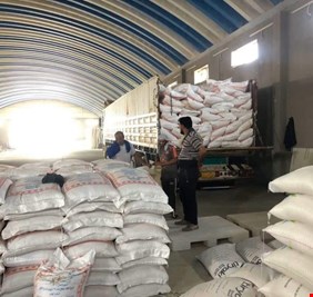 سايلو الناصرية يستأنف تجهيز المطاحن بالحصص المخصصة من الحنطة المحلية