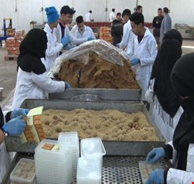 ارتفاع انتاج معامل التمور في كربلاء الى 3 أضعاف إثر حملة “صنع في العراق”