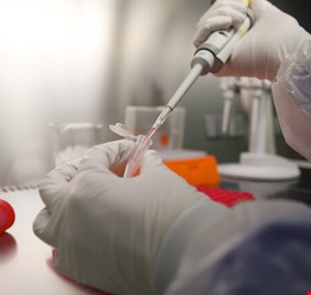 فيروس جديد يجتاح الصين