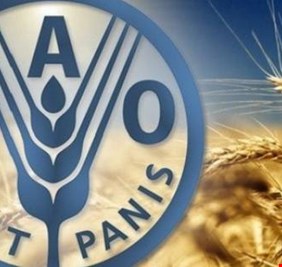 الفاو تحذر من تهديد غير مسبوق للأمن الغذائي وسبل العيش