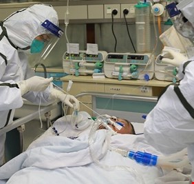 الحصيلة اليومية لضحايا 