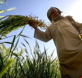 ديالى: اكثر من 3 الاف مزارع متضرر من موسم الفيضانات دون تعويض