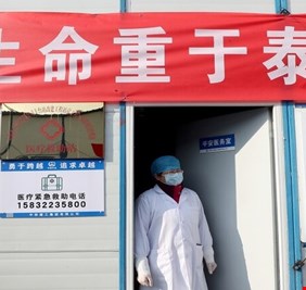 وفيات فيروس 