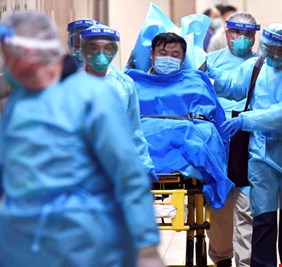 السلطات الصينية تقبض على الفاعل الأول بانتشار فيروس كورونا: مارس الجنس مع حيوانات بينها الخفافيش!