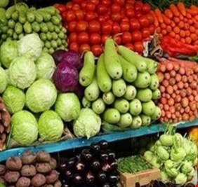 زراعة كربلاء: ننتج من المحاصيل ما يسد حاجة السوق المحلية