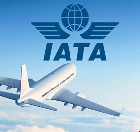 إياتا : جائحة كورونا ستكلف قطاع الطيران العالمي 314 مليار دولار