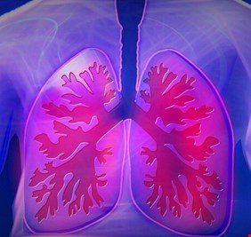 أطعمة وطرق طبيعية لتنظيف رئتيك