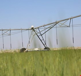 الزراعة النيابية تقترح الاعتماد على “النفط البديل” لتجاوز الأزمة الحالية