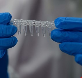 باحثون يكتشفون 