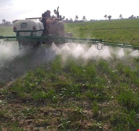 الزراعة تعتزم تعديل قانون ٣٥ الخاص بتأجير الأراضي الزراعية