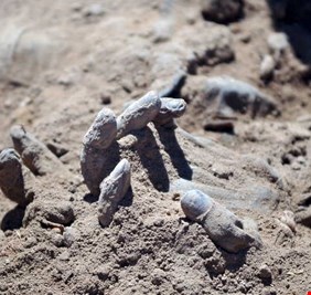 جريمة سبايكر .. اعترافات جديدة تكشف 