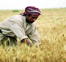 الزراعة النيابية: حقوق الفلاحين يجب تضمينها بأي موازنة