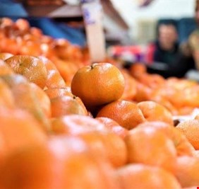 العراق ثالث مستورد للحمضيات من تركيا