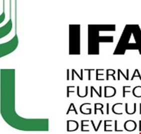 الصندوق الدولي للتنمية: النقد الدولي فشل بوضع حلول حقيقية لتجاوز ازمات العراق