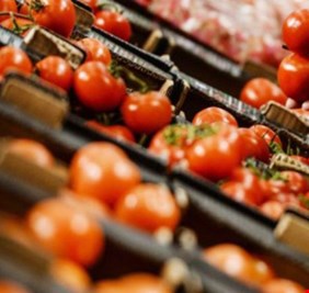 العراق يبدأ تصدير 750 طنا من ثلاثة محاصيل زراعية الى السعودية والامارات