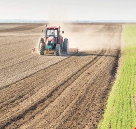 تقرير..اغلاق الحدود بسبب كورونا اعاد الحياة للزراعة العراقية