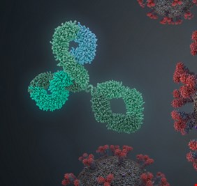كوفيد-19 .. تدريب على الحرب البيولوجية