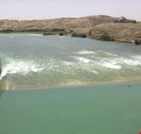 ديالى تكشف عن قدرة” لولوة حمرين” على تحقيق الاكتفاء الذاتي من الاسماك لـ5 محافظات