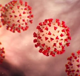 تقرير يهاجم 