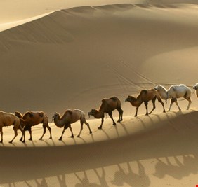 أغنى رجل في التاريخ.. عاش في أفقر بقاع الأرض حاليا!