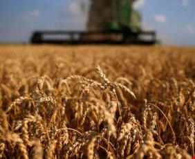 ايران تعلن استعدادها لشراء الفائض من القمح والشعير العراقي