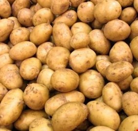 الزراعة تكشف عن وجود بطاطا غير عراقية في السوق بالرغم من منعها