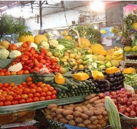 الزراعة تشكل لجان مع الجريمة المنظمة لملاحقة المنتجات الممنوع استيرادها