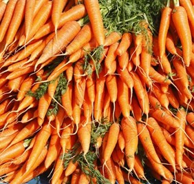 كشف خصائص الجزر المدهشة