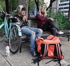 حقل من الماريجوانا أمام مجلس الشيوخ المكسيكي.. ما السر؟