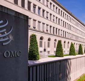 للمرة الأولى.. سيدة على رأس منظمة التجارة العالمية