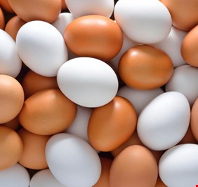 ما هو الفرق بين البيض ذي القشرة البنية والقشرة البيضاء؟