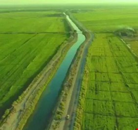 بمساحة 100 الف دونم.. هنغاريا تطلب الاستثمار الزراعي في النجف