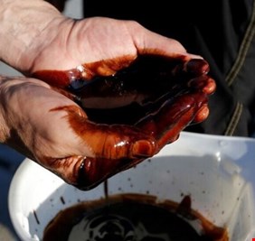 الكشف عن وجود حقول للنفط والغاز على مساحة 2500 كم غرب الانبار