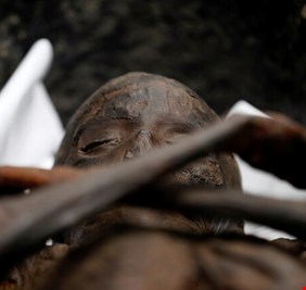 اكتشاف مثير داخل مومياء مصرية