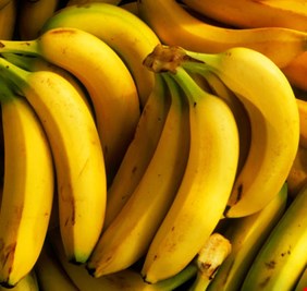 الموز فاكهة عالية القدرات في تأمين التوازن الصحي للجسد