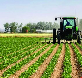 بينها الصين.. العراق يتلقى طلبات من اربع دول لتصدير محاصيله الزراعية