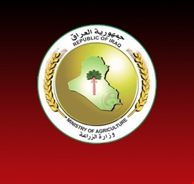 الزراعة تعلن رفع المنع عن حركة نقل محصول الذرة الصفراء بين المحافظات