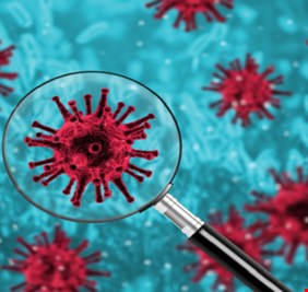 عام واحد منذ بدء الإبلاغ عن 