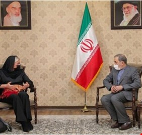 ماذا تفعل بلاسخارت في طهران؟ 