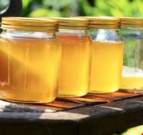 كربلاء تتصدر المحافظات العراقية بإنتاج العسل الطبيعي